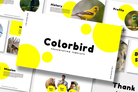 Color Bird: A Keynote Template for Dynamic Visual Storytelling